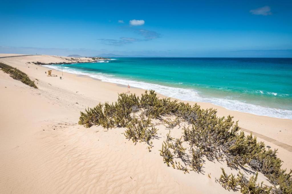 Los Majos Fuerteventura 타라할레호 외부 사진